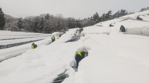 LINE_ALBUM_七尾市太陽光発電除雪作業_250318_34